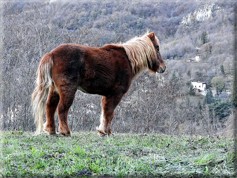 foto Monte Melma